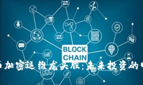 数字货币加密运维龙头股：未来投资的明智选择