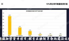 韩国加密货币项目：探索区块链革命的前沿之路