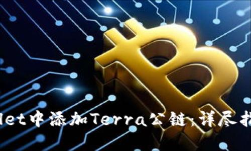 :如何在TPWallet中添加Terra公链：详尽指南与实用技巧