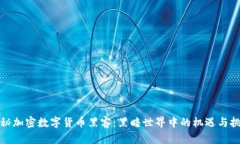 揭秘加密数字货币黑客：黑暗世界中的机遇与挑