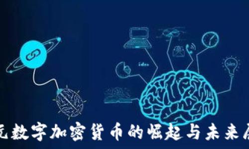   
美元数字加密货币的崛起与未来展望