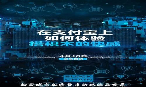 
挪威城市加密货币的现状与发展