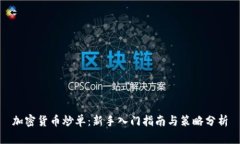 加密货币炒单：新手入门指南与策略分析