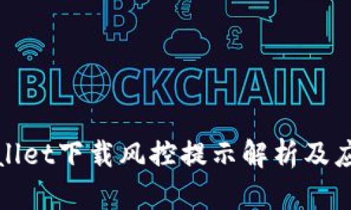 : TPWallet下载风控提示解析及应对策略