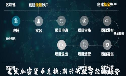 
毛发加密货币兑换：新兴的数字经济趋势