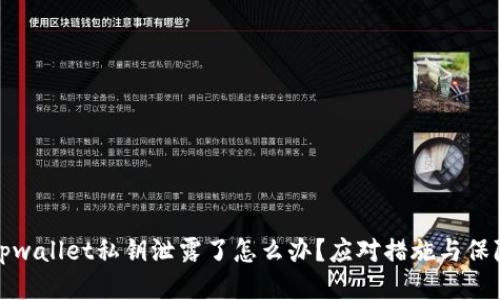 tpwallet私钥泄露了怎么办？应对措施与保障