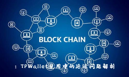 : TPWallet使用中的延迟问题解析