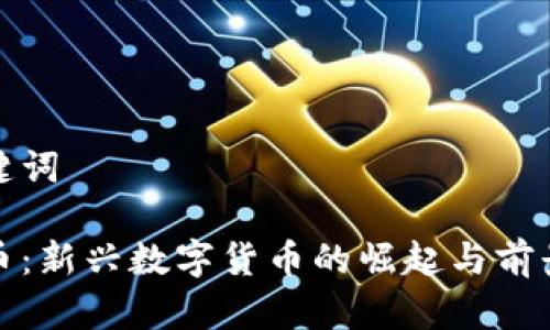 和关键词

没傻币：新兴数字货币的崛起与前景分析