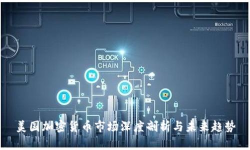 美国加密货币市场深度剖析与未来趋势