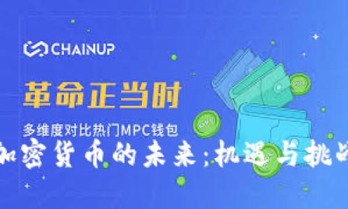 加密货币的未来：机遇与挑战
