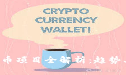数字加密货币项目全解析：趋势、应用与未来