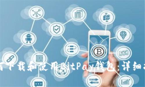 如何下载和使用BitPay钱包：详细指南
