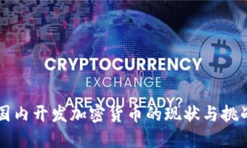 国内开发加密货币的现状与挑战