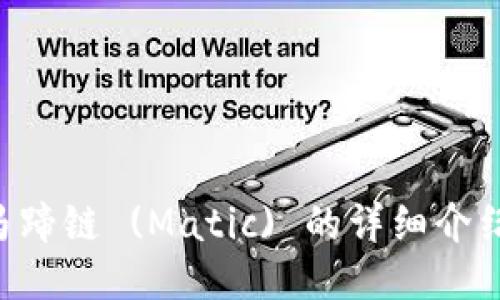 TPWallet 马蹄链 (Matic) 的详细介绍及使用指南