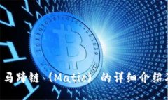 TPWallet 马蹄链 (Matic) 的详细介绍及使用指南