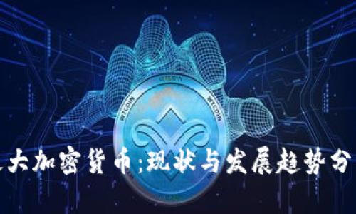 最大加密货币：现状与发展趋势分析