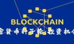 深入了解加密货币种子轮：投资机会与风险分析