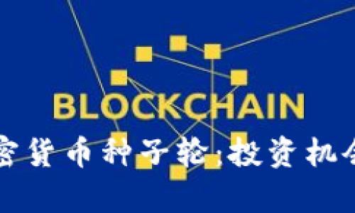 深入了解加密货币种子轮：投资机会与风险分析