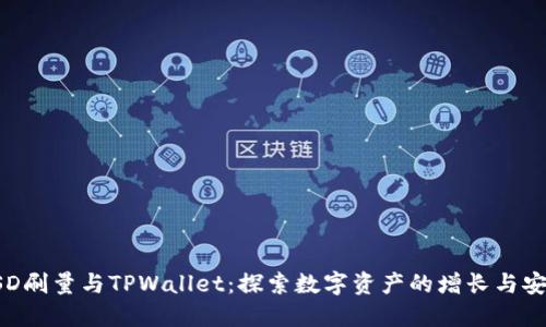 BSD刷量与TPWallet：探索数字资产的增长与安全