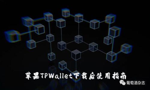 苹果TPWallet下载后使用指南