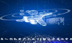 TPWallet导入钱包资产不见了？解决方案与常见问题