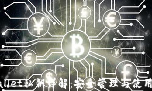 
tpwallet私钥详解：安全管理与使用指南