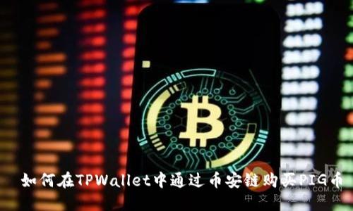  如何在TPWallet中通过币安链购买PIG币