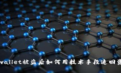 tpwallet被盗后如何用技术手段追回资产