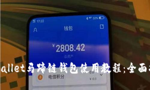 tpwallet马蹄链钱包使用教程：全面指南